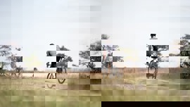 Coen Van De Broek Vfskgme1qok Unsplash